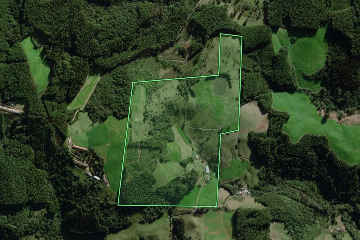 Imagem de satélite do imóvel rural em Relvado (RS), com o contorno declarado no CAR desenhado por cima.