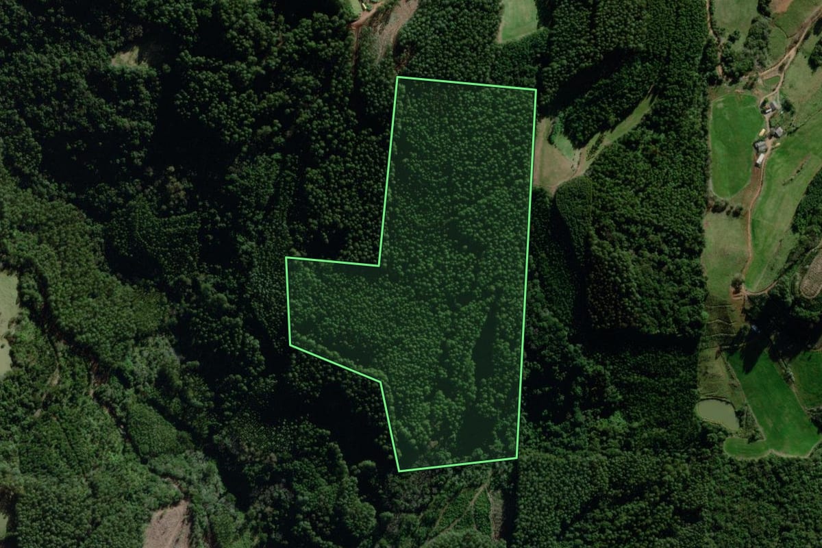 Imagem de satélite do imóvel rural em Relvado (RS), com o contorno declarado no CAR desenhado por cima.