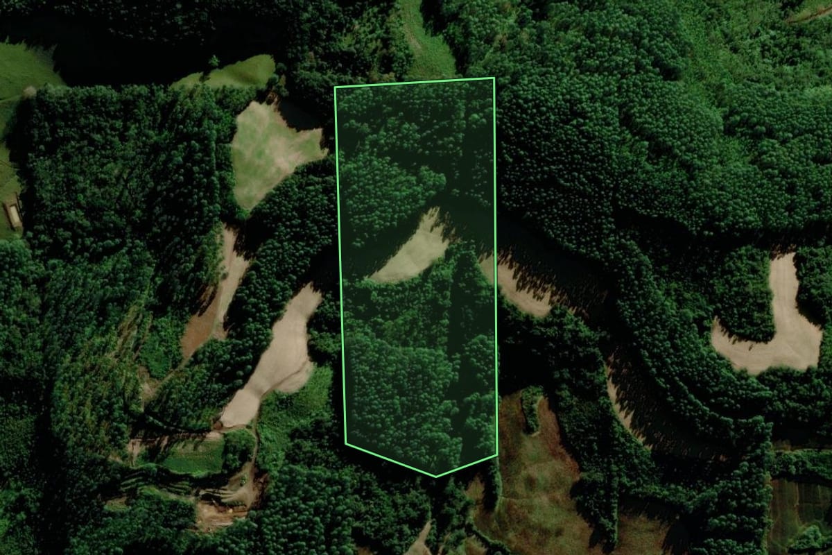 Imagem de satélite do imóvel rural em Relvado (RS), com o contorno declarado no CAR desenhado por cima.