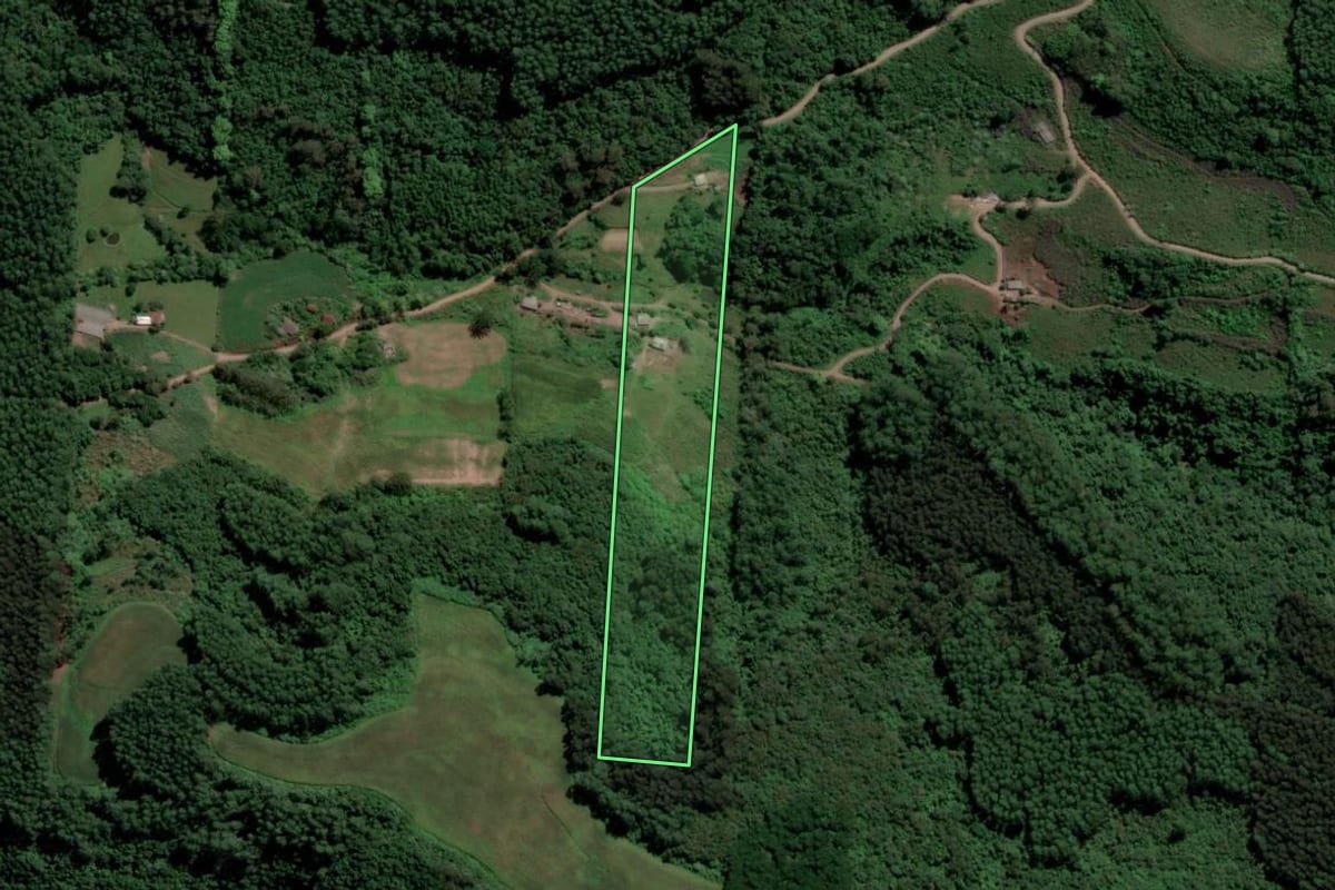 Imagem de satélite do imóvel rural em Relvado (RS), com o contorno declarado no CAR desenhado por cima.