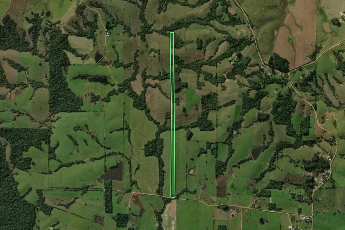 Imagem de satélite do imóvel rural em Restinga Sêca (RS), com o contorno declarado no CAR desenhado por cima.