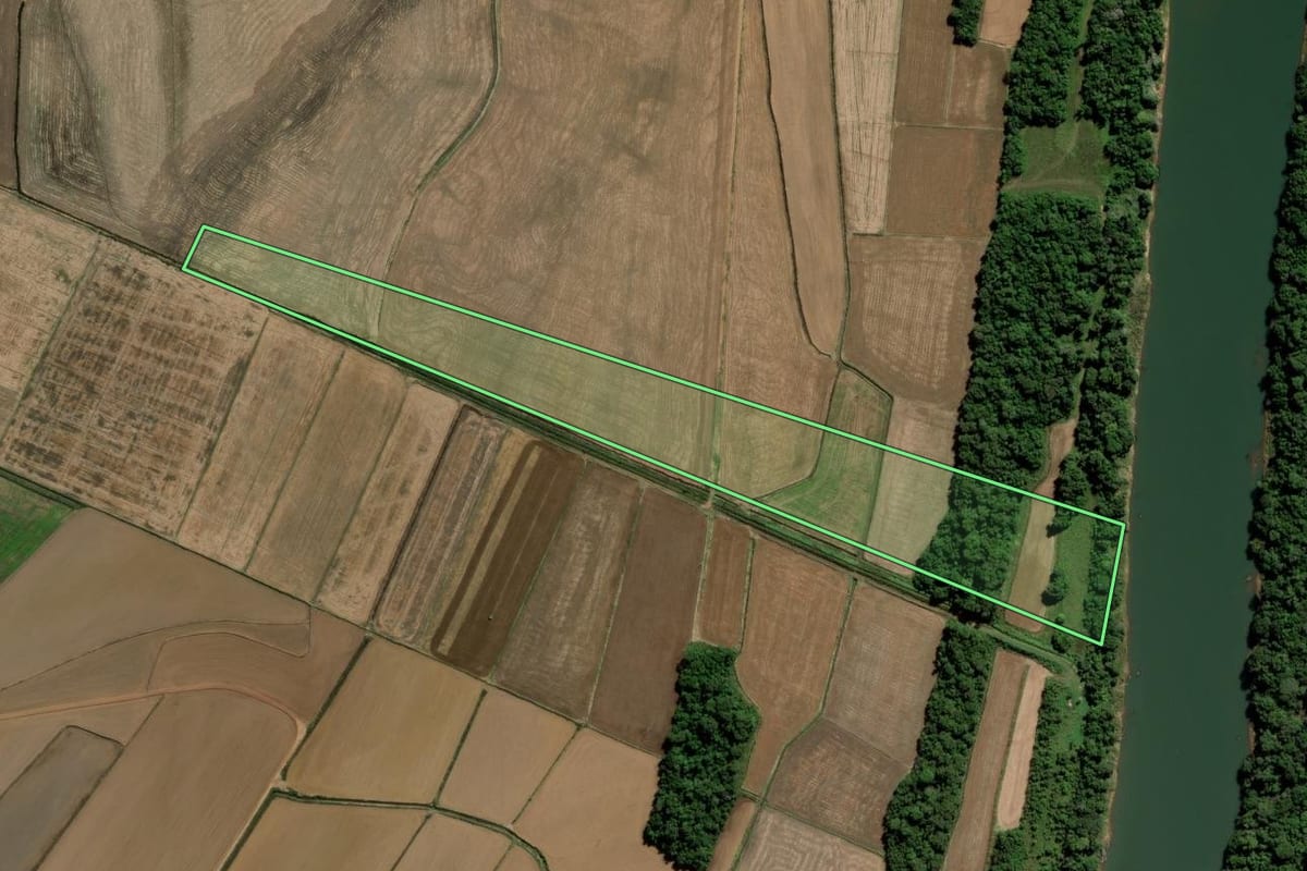 Imagem de satélite do imóvel rural em Restinga Sêca (RS), com o contorno declarado no CAR desenhado por cima.