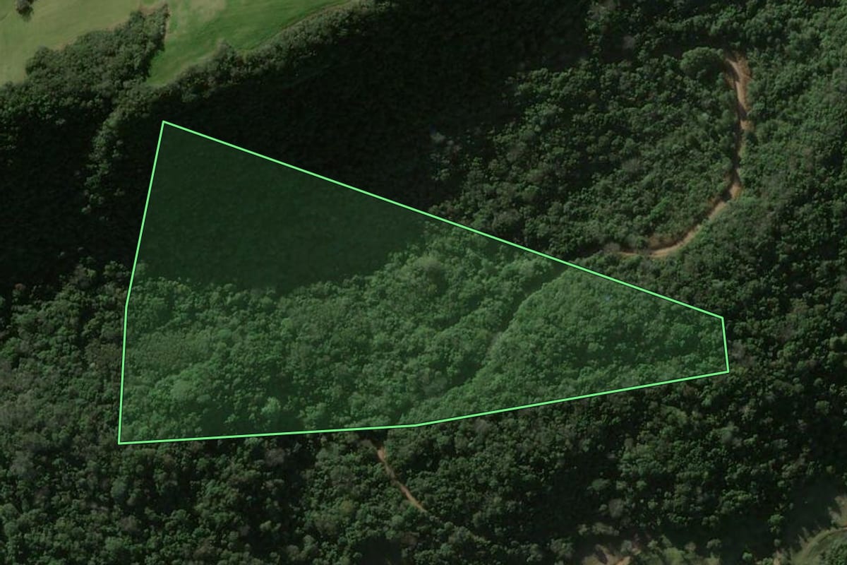 Imagem de satélite do imóvel rural em Restinga Sêca (RS), com o contorno declarado no CAR desenhado por cima.