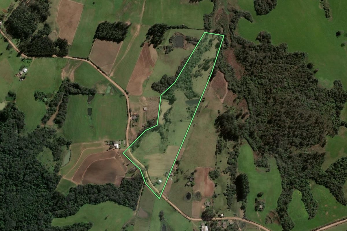Imagem de satélite do imóvel rural em Restinga Sêca (RS), com o contorno declarado no CAR desenhado por cima.