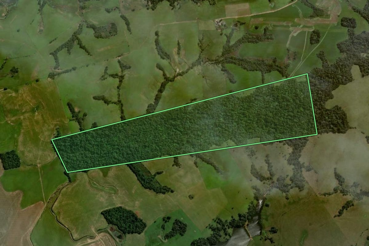 Imagem de satélite do imóvel rural em Restinga Sêca (RS), com o contorno declarado no CAR desenhado por cima.