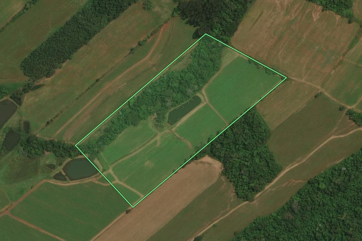 Imagem de satélite do imóvel rural em Restinga Sêca (RS), com o contorno declarado no CAR desenhado por cima.