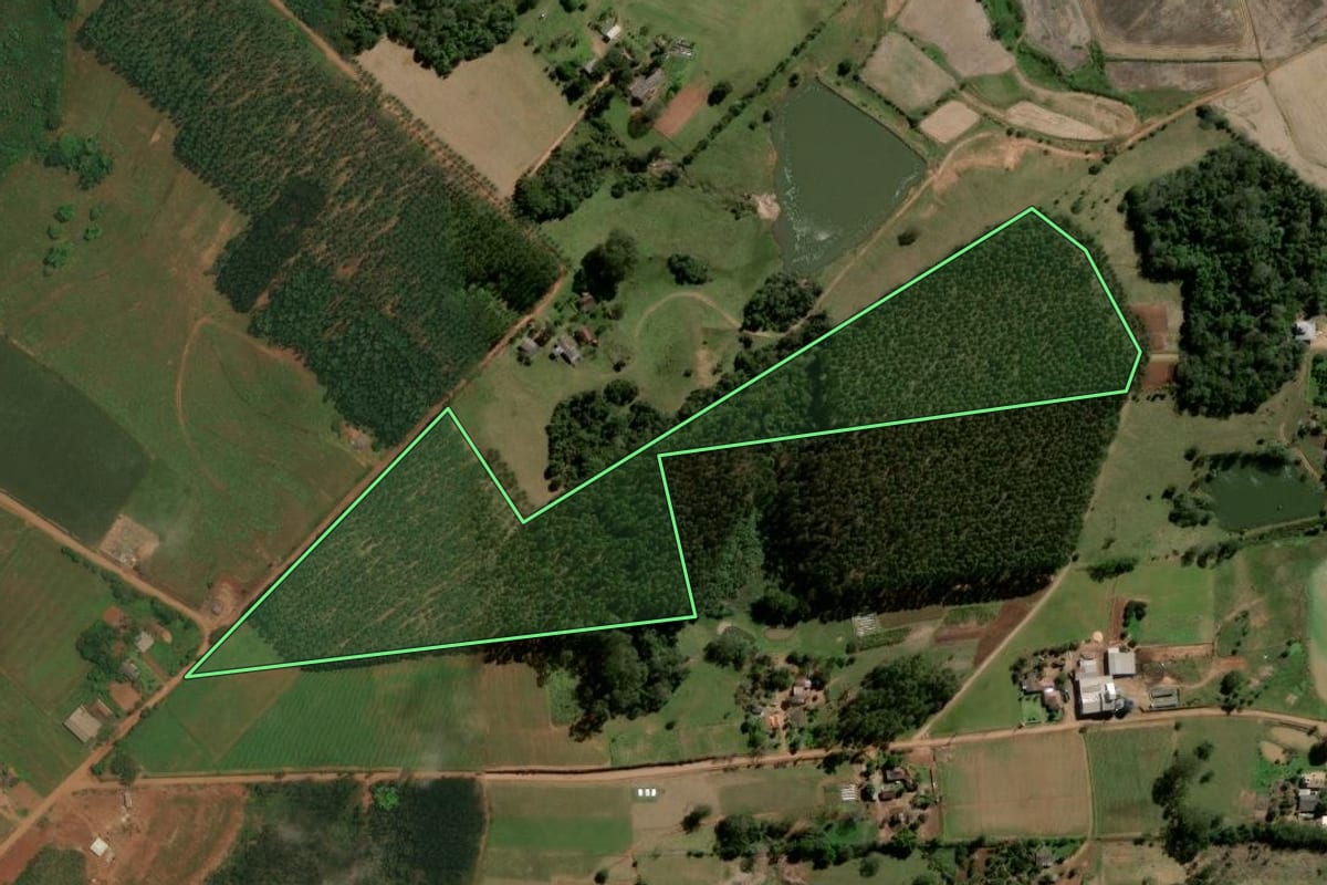 Imagem de satélite do imóvel rural em Restinga Sêca (RS), com o contorno declarado no CAR desenhado por cima.