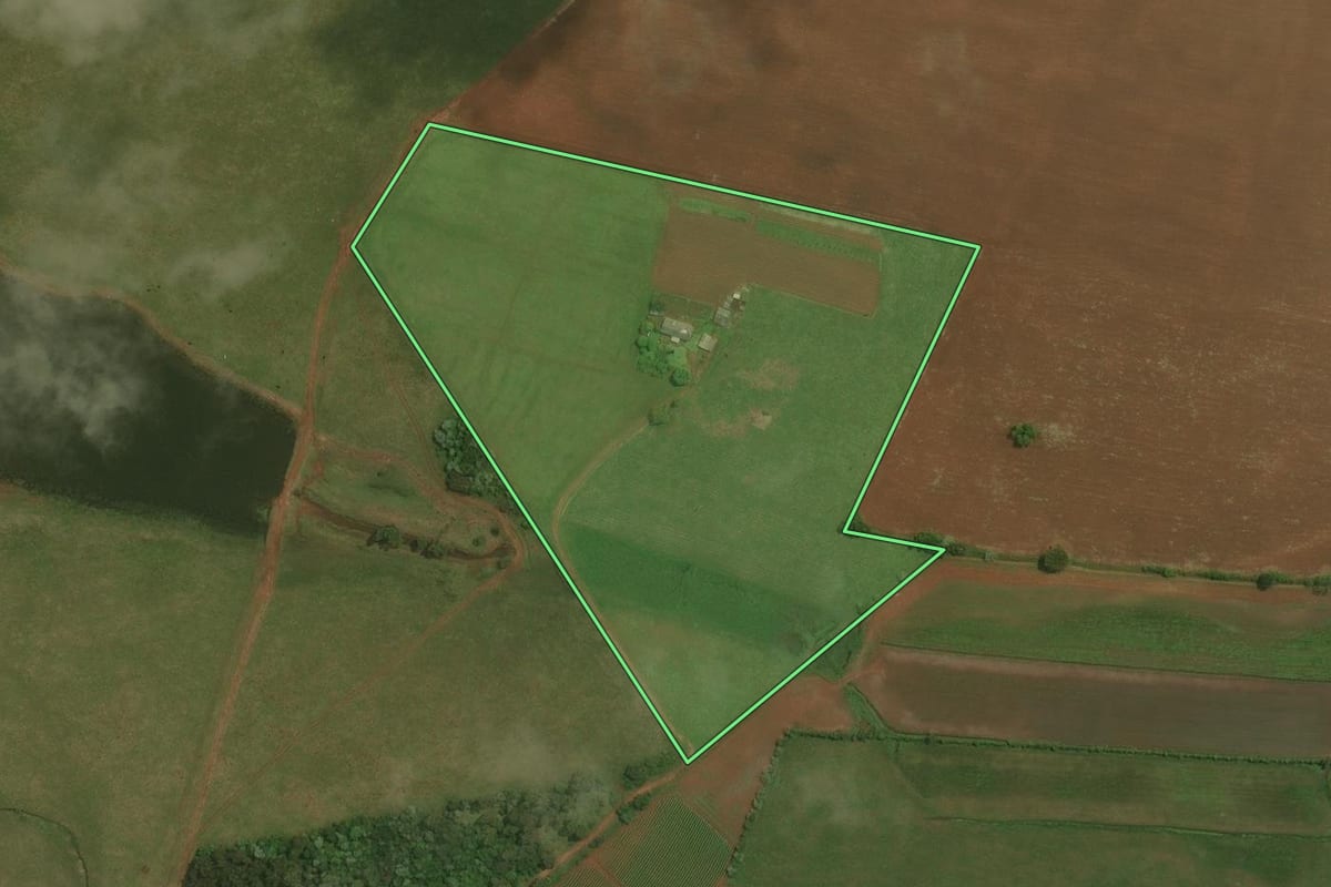 Imagem de satélite do imóvel rural em Restinga Sêca (RS), com o contorno declarado no CAR desenhado por cima.