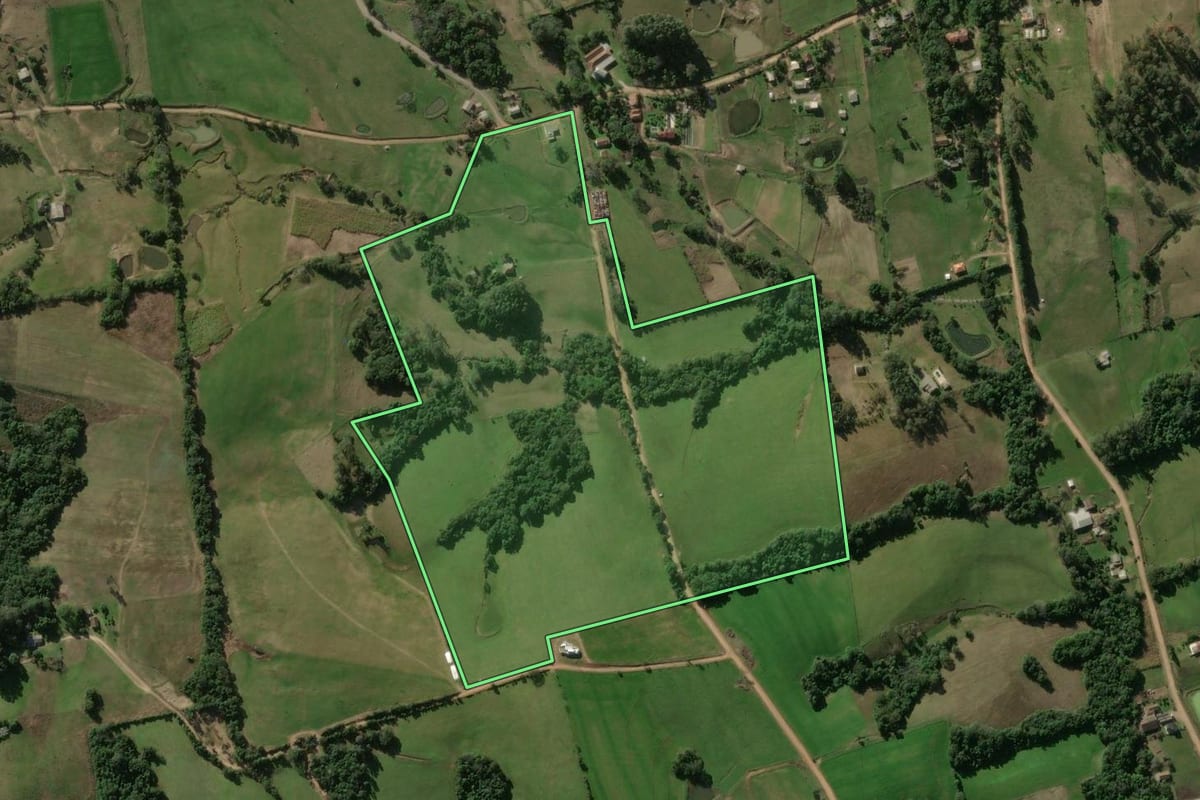 Imagem de satélite do imóvel rural em Restinga Sêca (RS), com o contorno declarado no CAR desenhado por cima.
