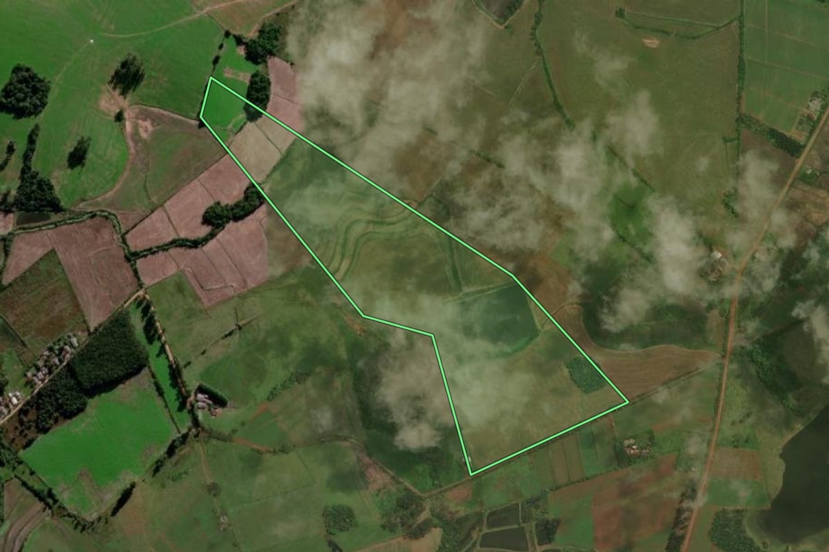 Imagem de satélite do imóvel rural em Restinga Sêca (RS), com o contorno declarado no CAR desenhado por cima.