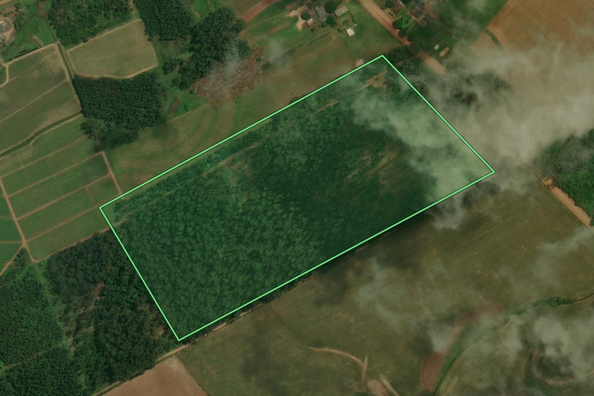 Imagem de satélite do imóvel rural em Restinga Sêca (RS), com o contorno declarado no CAR desenhado por cima.