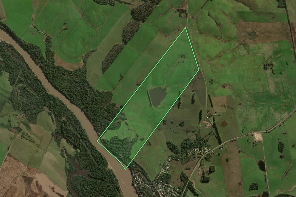 Imagem de satélite do imóvel rural em Restinga Sêca (RS), com o contorno declarado no CAR desenhado por cima.