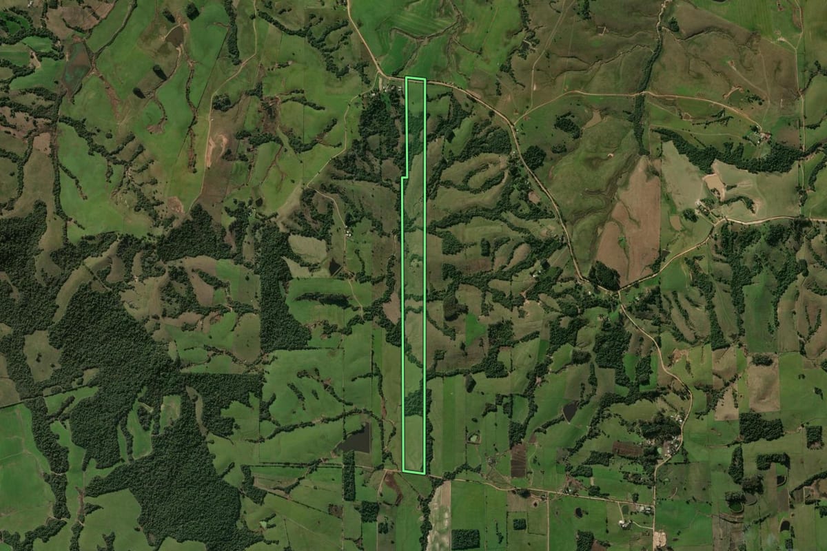 Imagem de satélite do imóvel rural em Restinga Sêca (RS), com o contorno declarado no CAR desenhado por cima.