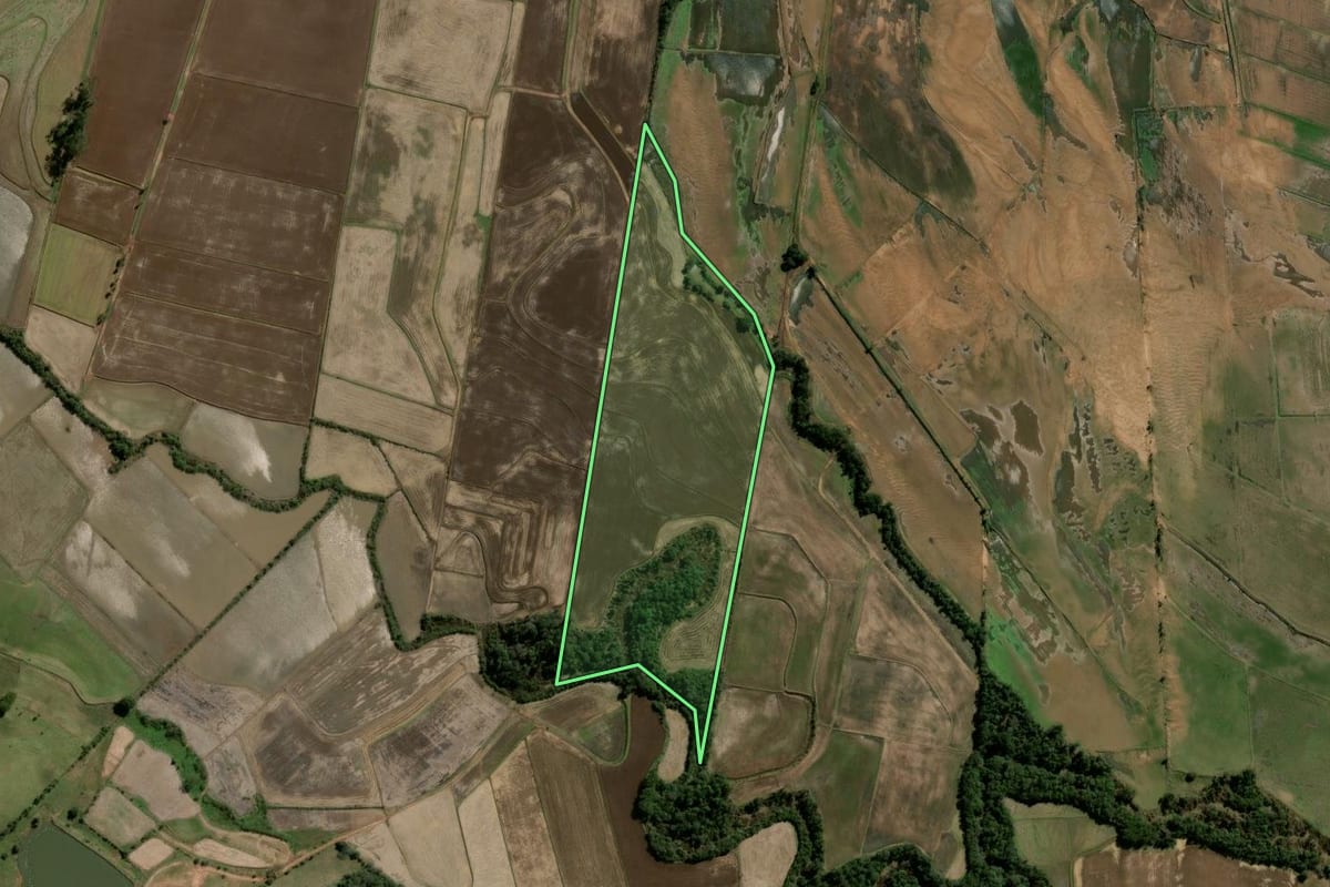 Imagem de satélite do imóvel rural em Restinga Sêca (RS), com o contorno declarado no CAR desenhado por cima.