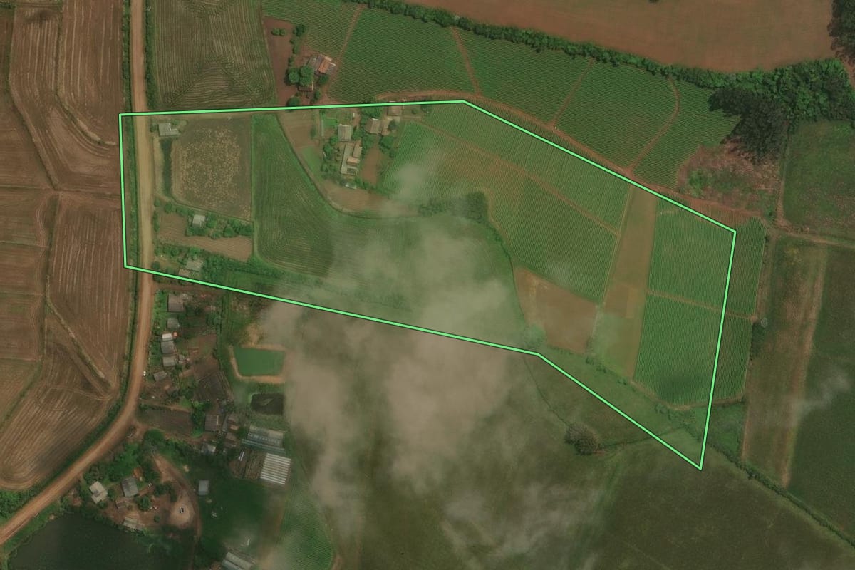 Imagem de satélite do imóvel rural em Restinga Sêca (RS), com o contorno declarado no CAR desenhado por cima.