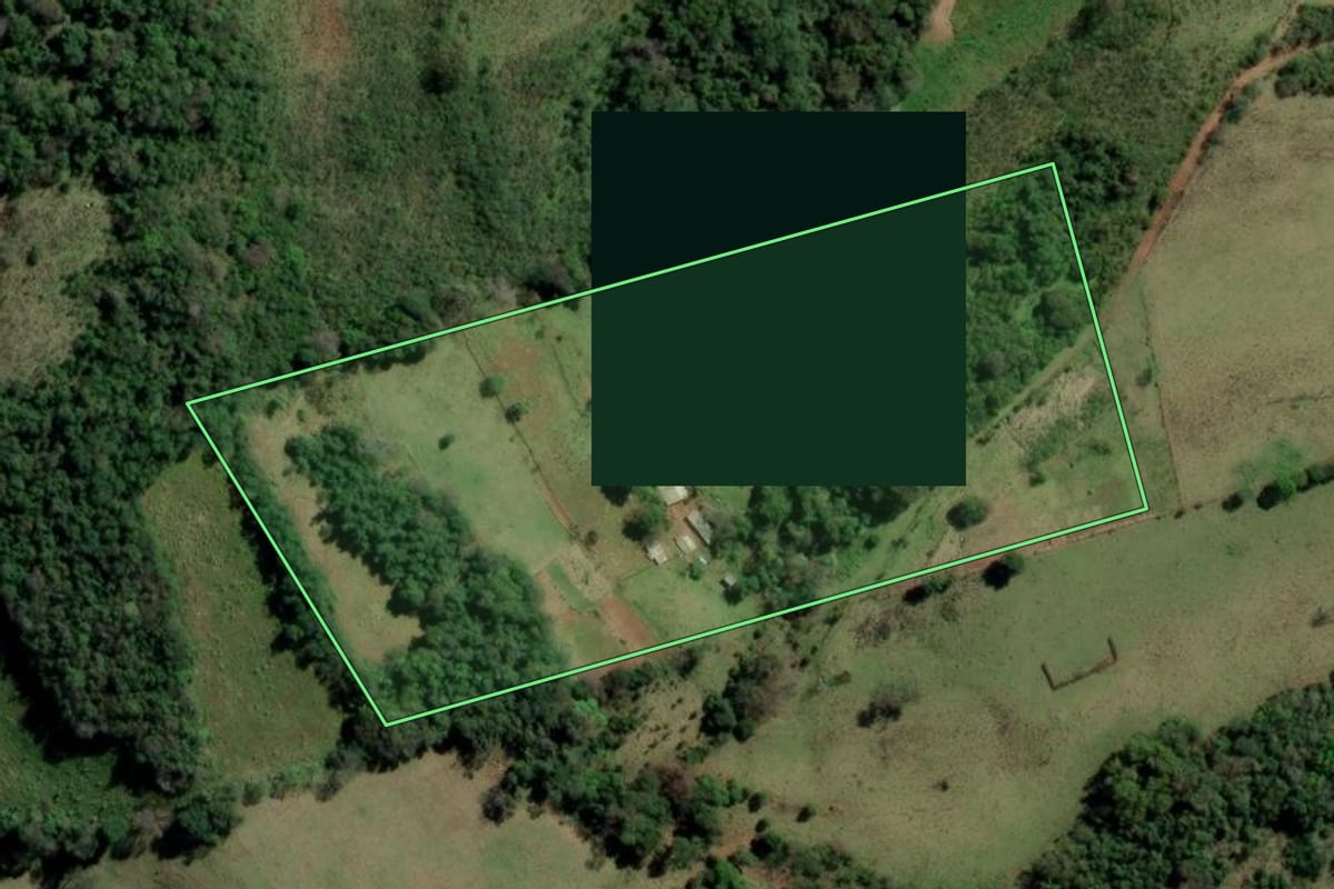 Imagem de satélite do imóvel rural em Rio dos Índios (RS), com o contorno declarado no CAR desenhado por cima.
