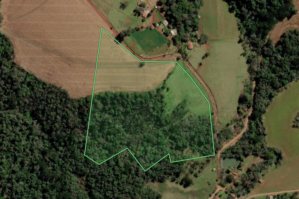 Imagem de satélite do imóvel rural em Rio dos Índios (RS), com o contorno declarado no CAR desenhado por cima.