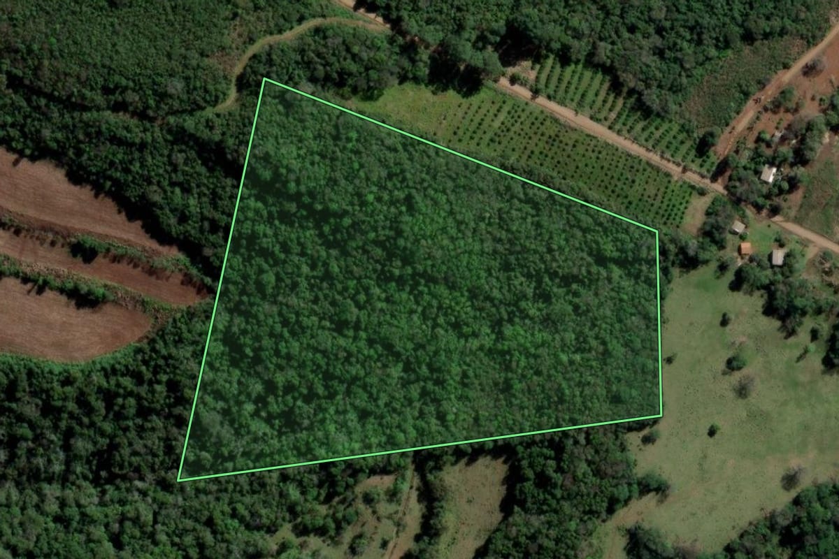Imagem de satélite do imóvel rural em Rio dos Índios (RS), com o contorno declarado no CAR desenhado por cima.