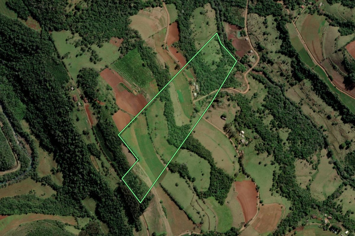 Imagem de satélite do imóvel rural em Rio dos Índios (RS), com o contorno declarado no CAR desenhado por cima.