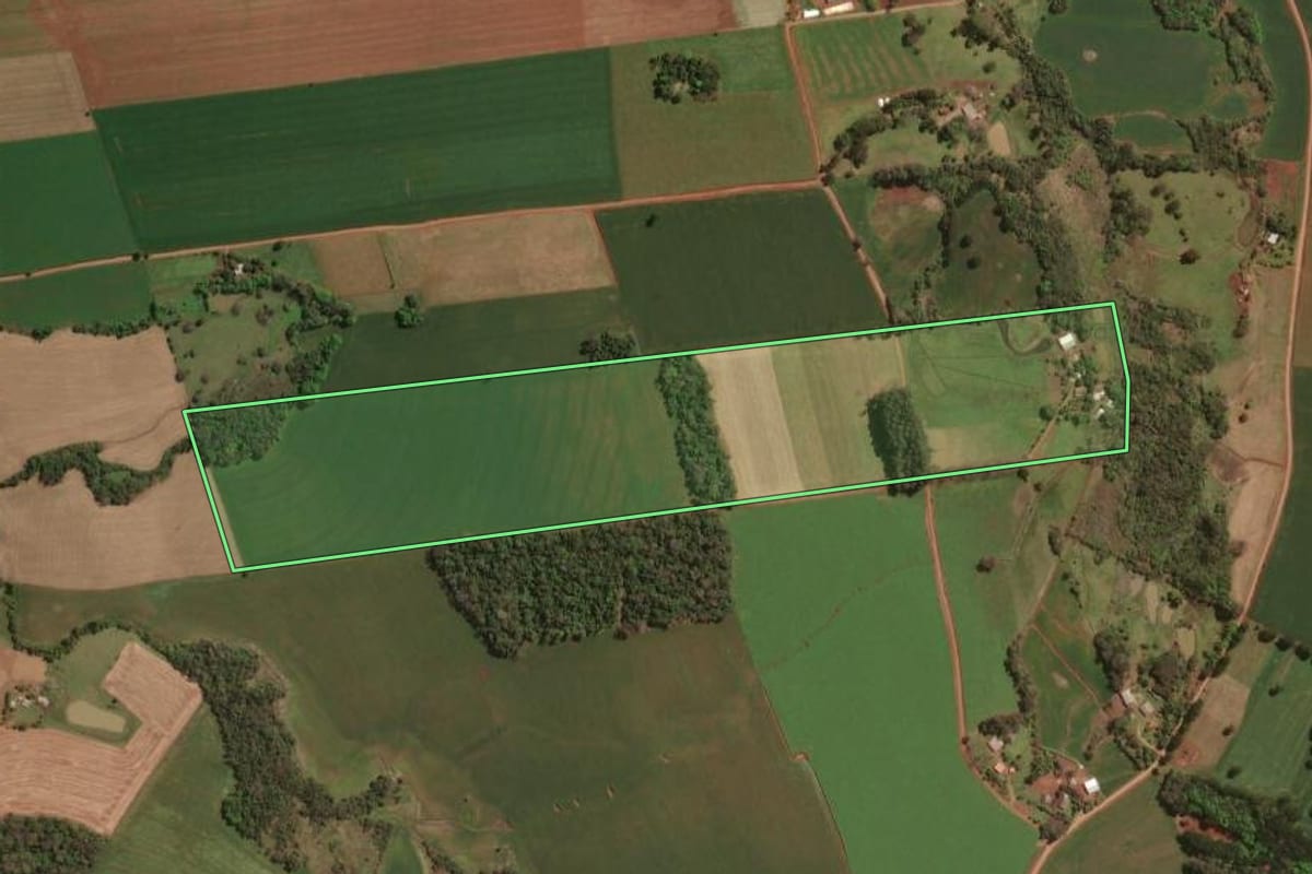 Imagem de satélite do imóvel rural em Rio dos Índios (RS), com o contorno declarado no CAR desenhado por cima.