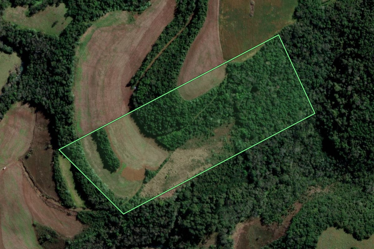 Imagem de satélite do imóvel rural em Rio dos Índios (RS), com o contorno declarado no CAR desenhado por cima.