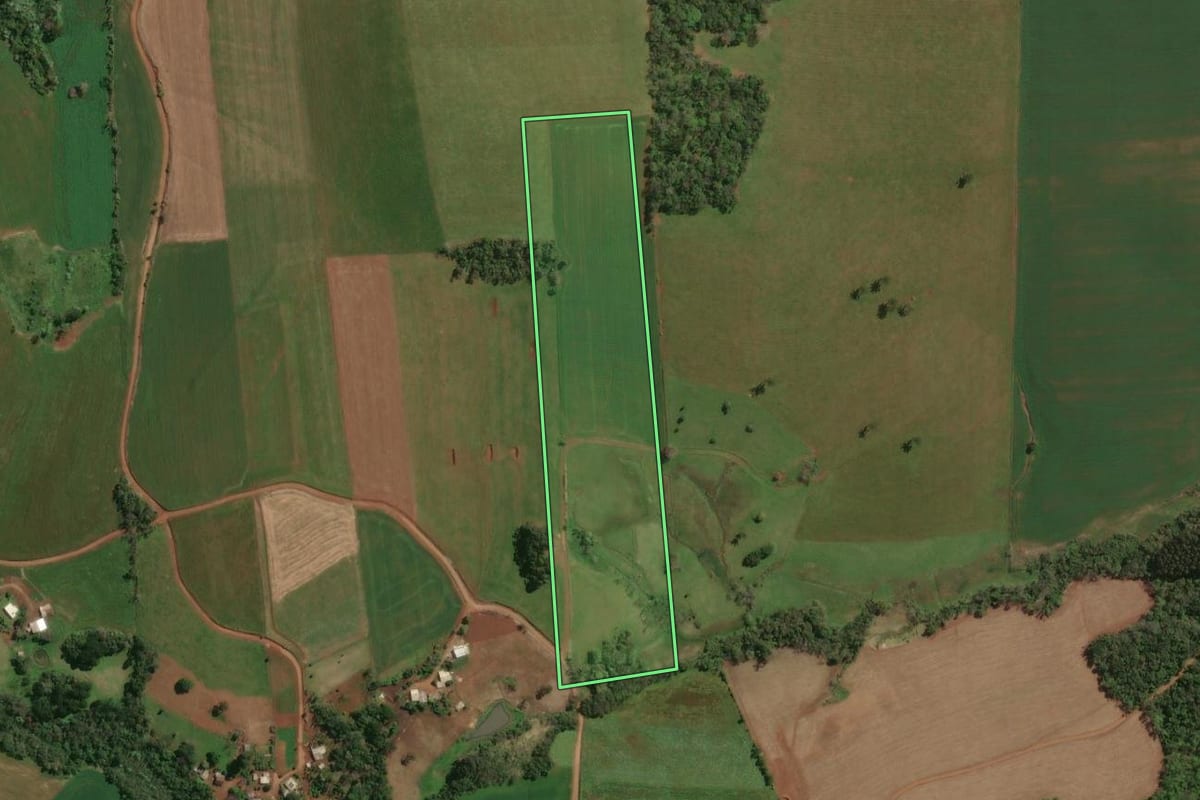 Imagem de satélite do imóvel rural em Rio dos Índios (RS), com o contorno declarado no CAR desenhado por cima.