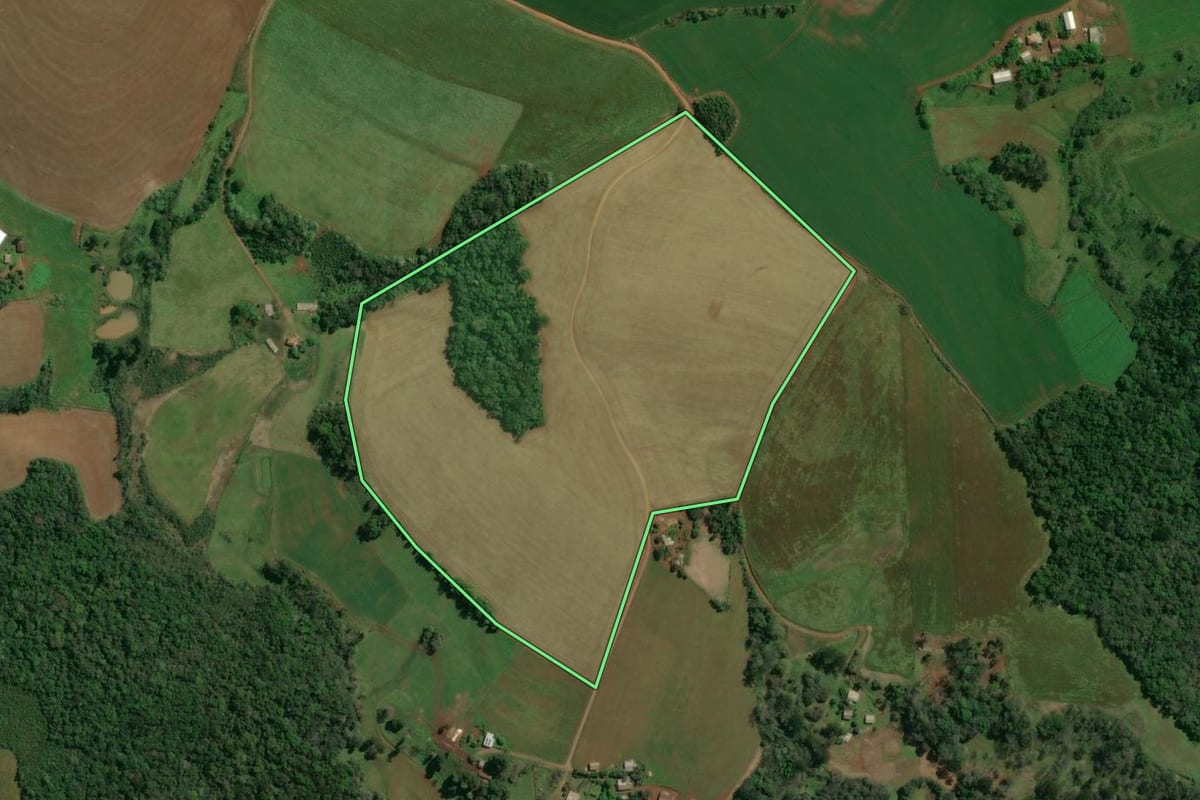 Imagem de satélite do imóvel rural em Rio dos Índios (RS), com o contorno declarado no CAR desenhado por cima.