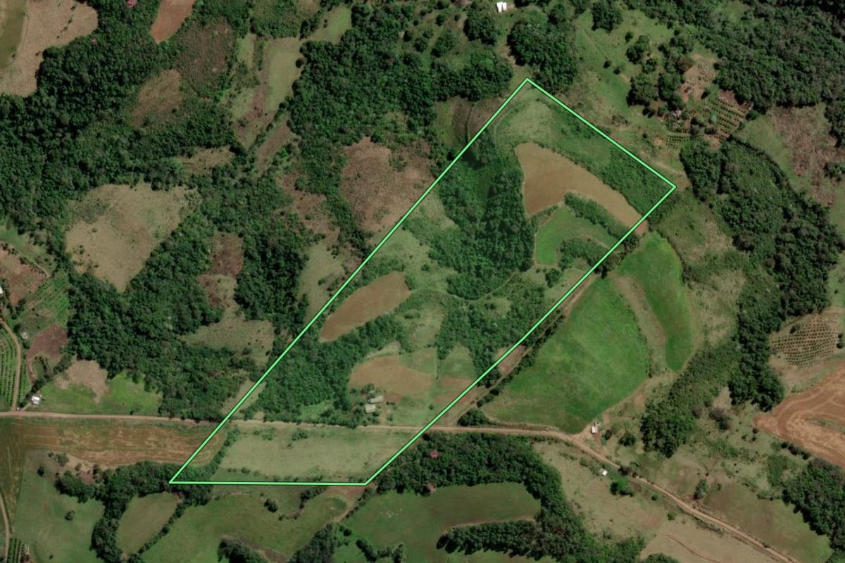 Imagem de satélite do imóvel rural em Rio dos Índios (RS), com o contorno declarado no CAR desenhado por cima.