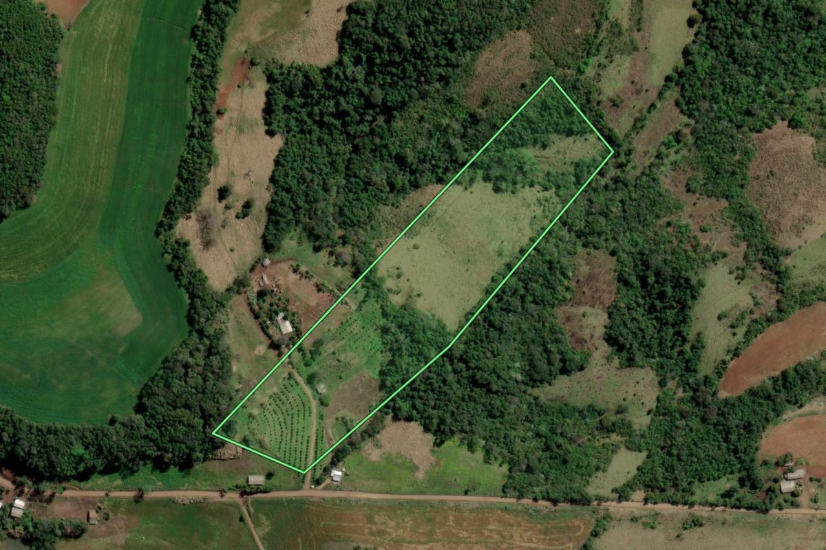 Imagem de satélite do imóvel rural em Rio dos Índios (RS), com o contorno declarado no CAR desenhado por cima.