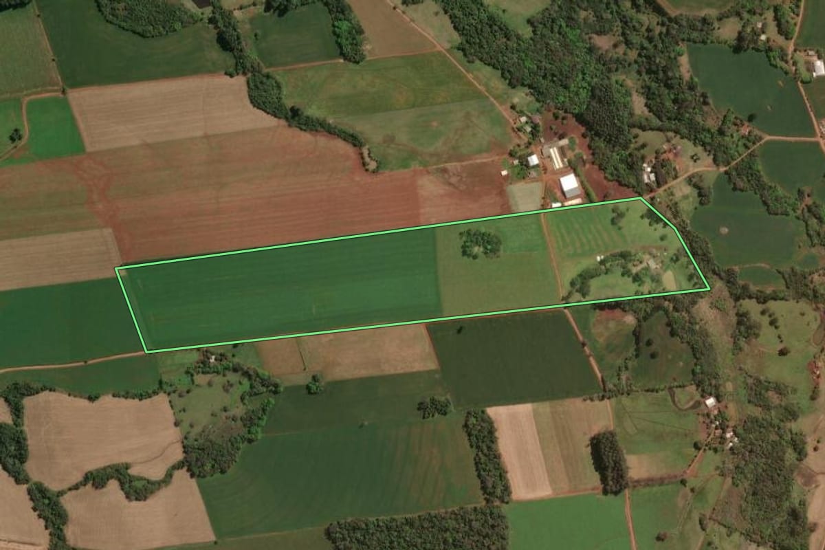 Imagem de satélite do imóvel rural em Rio dos Índios (RS), com o contorno declarado no CAR desenhado por cima.