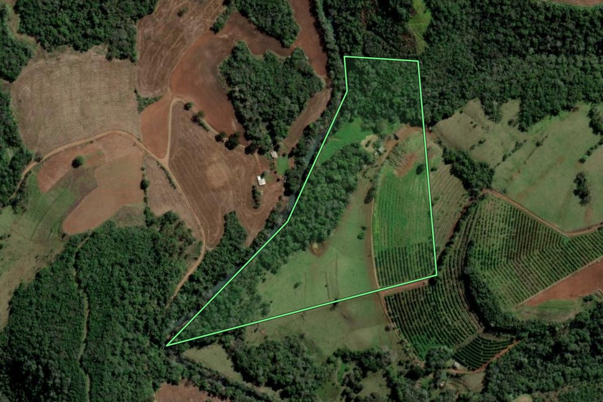 Imagem de satélite do imóvel rural em Rio dos Índios (RS), com o contorno declarado no CAR desenhado por cima.