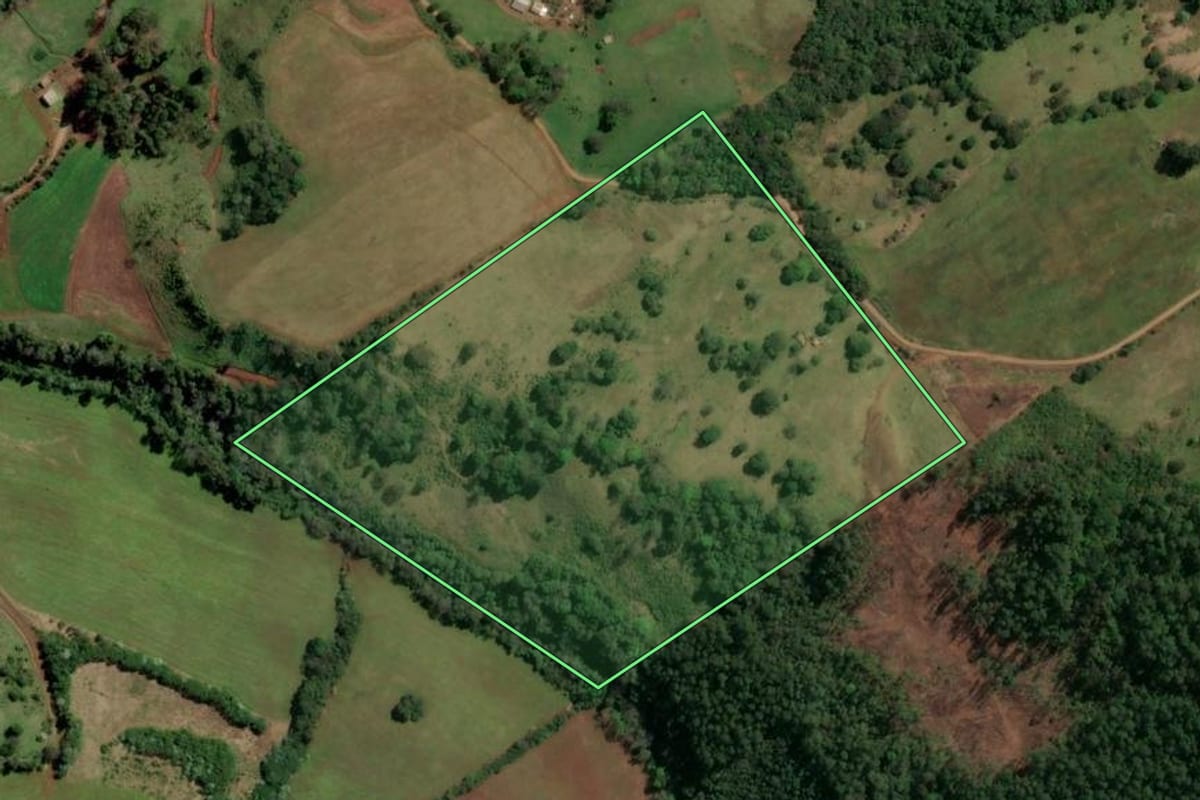 Imagem de satélite do imóvel rural em Rio dos Índios (RS), com o contorno declarado no CAR desenhado por cima.