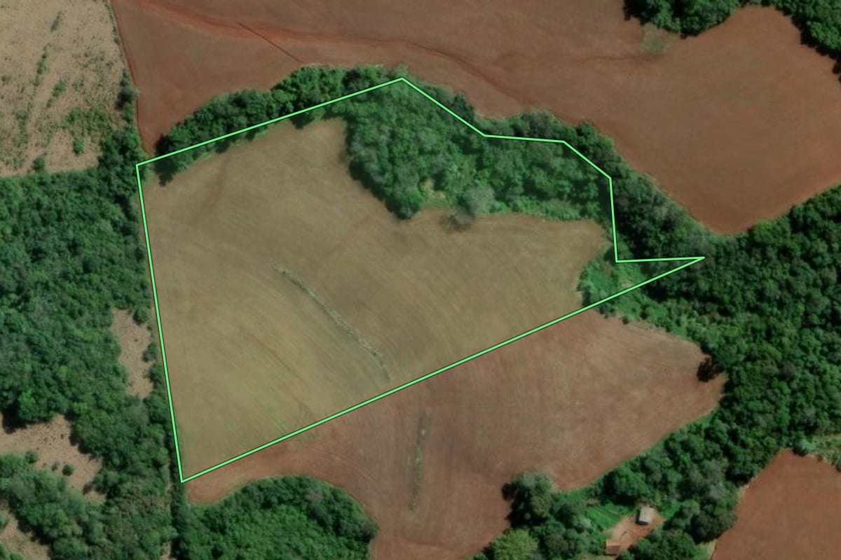 Imagem de satélite do imóvel rural em Rio dos Índios (RS), com o contorno declarado no CAR desenhado por cima.