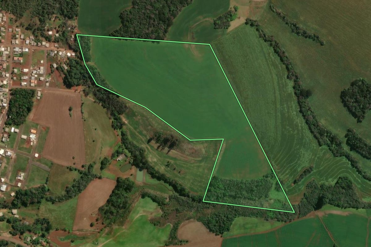 Imagem de satélite do imóvel rural em Rio dos Índios (RS), com o contorno declarado no CAR desenhado por cima.