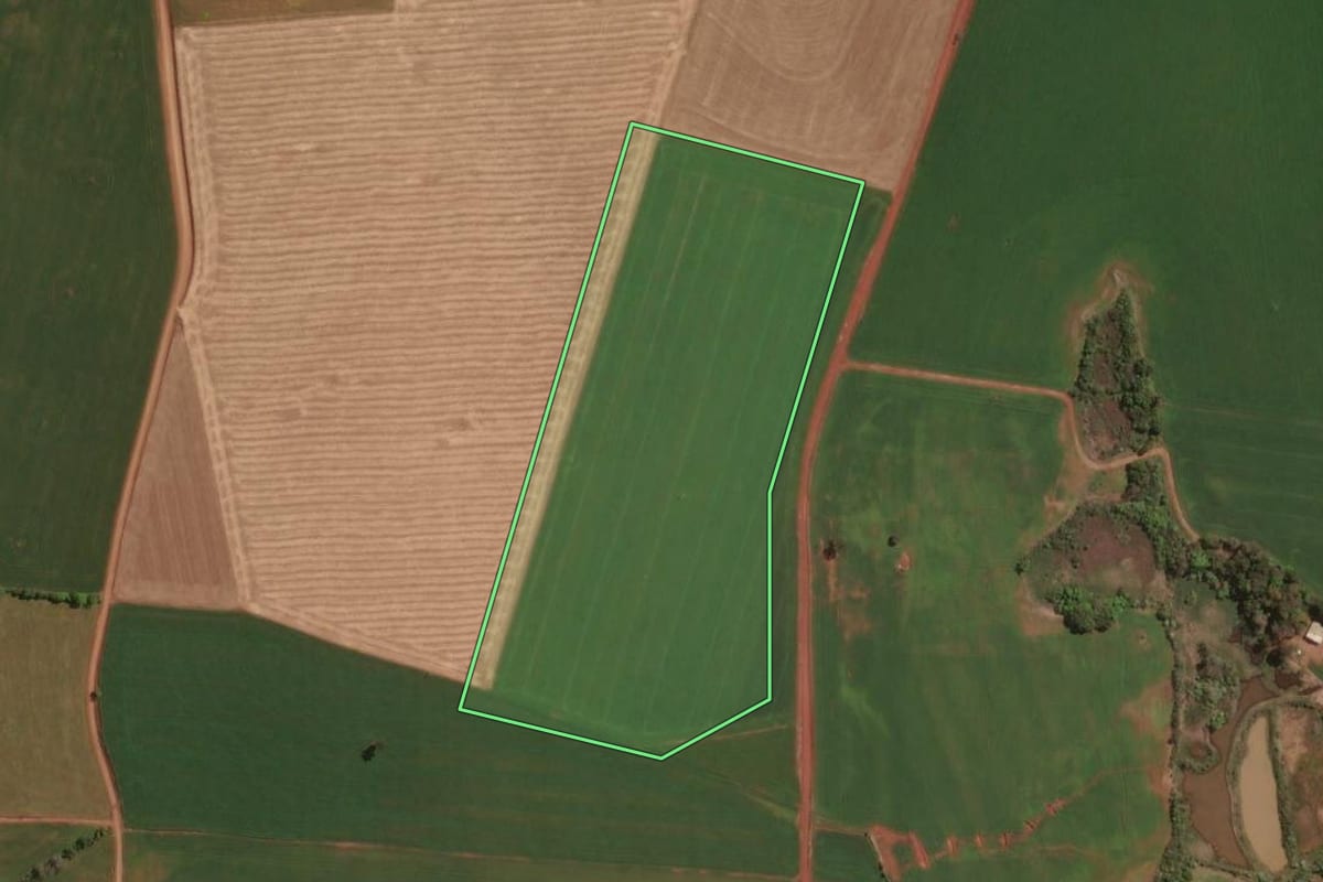 Imagem de satélite do imóvel rural em Rio dos Índios (RS), com o contorno declarado no CAR desenhado por cima.