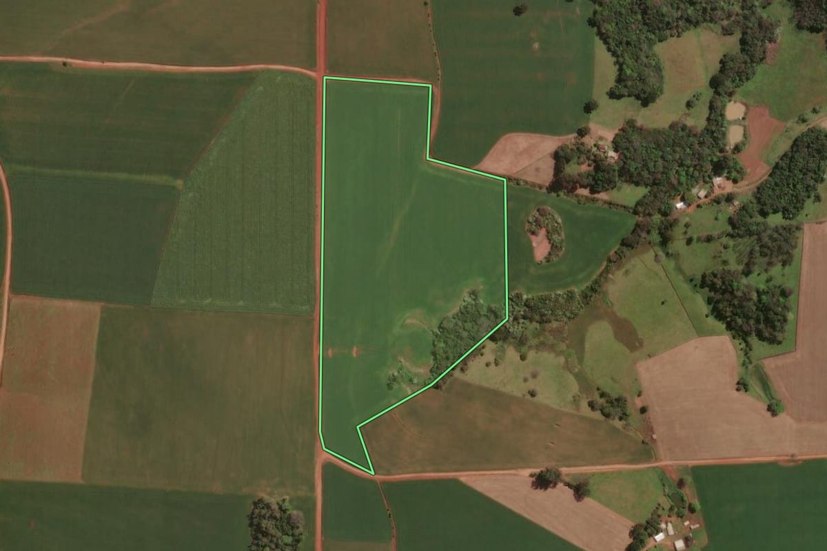 Imagem de satélite do imóvel rural em Rio dos Índios (RS), com o contorno declarado no CAR desenhado por cima.