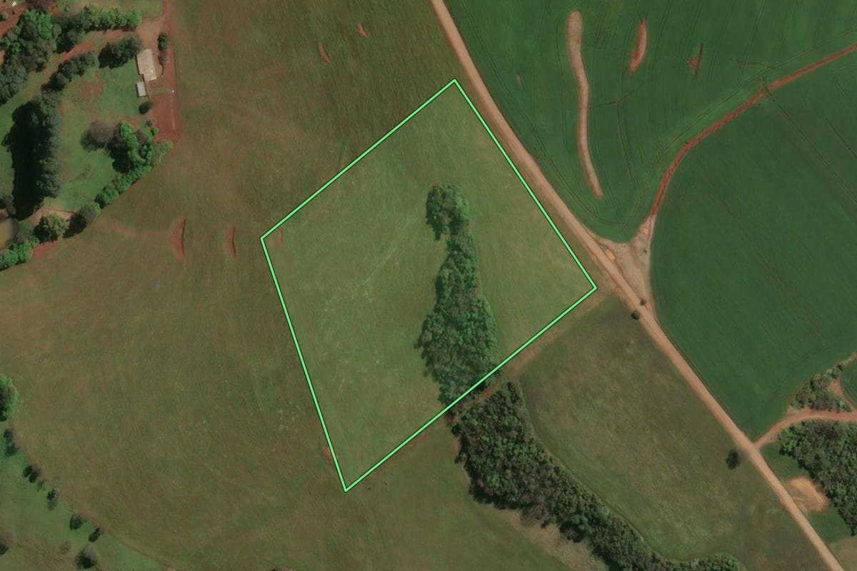 Imagem de satélite do imóvel rural em Rio dos Índios (RS), com o contorno declarado no CAR desenhado por cima.