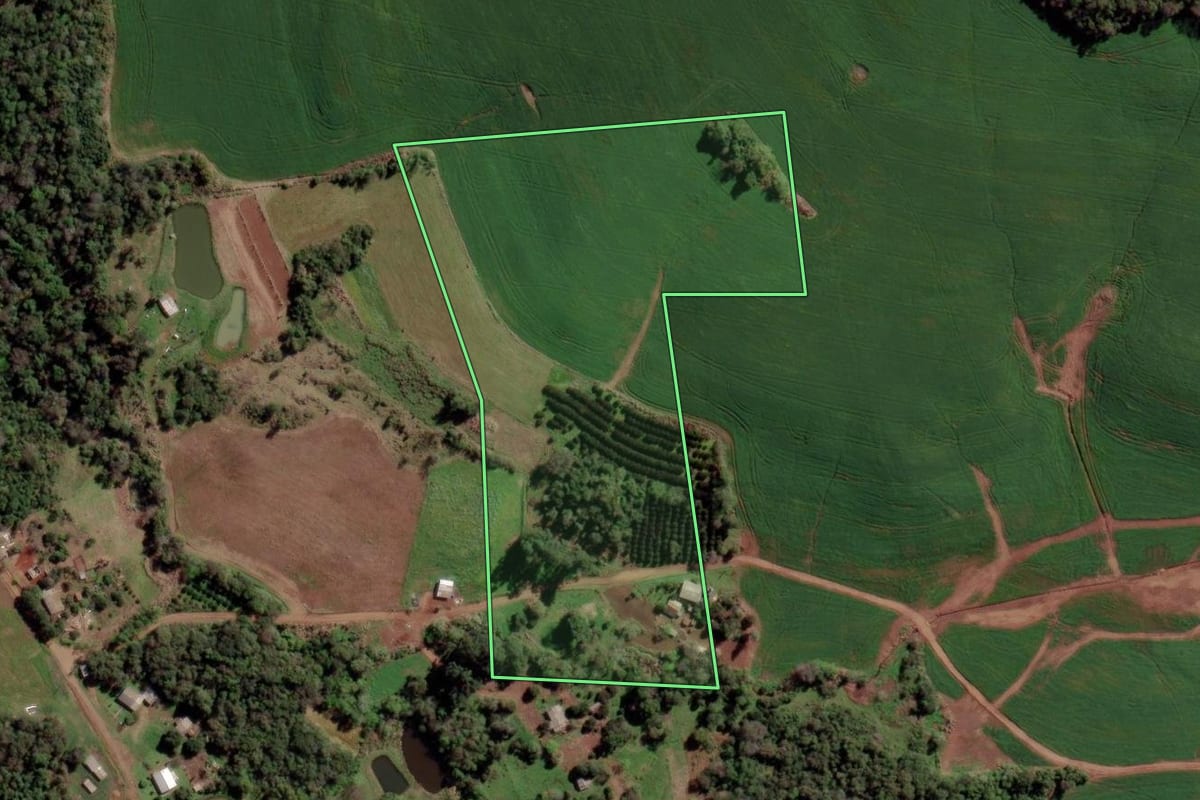 Imagem de satélite do imóvel rural em Rio dos Índios (RS), com o contorno declarado no CAR desenhado por cima.