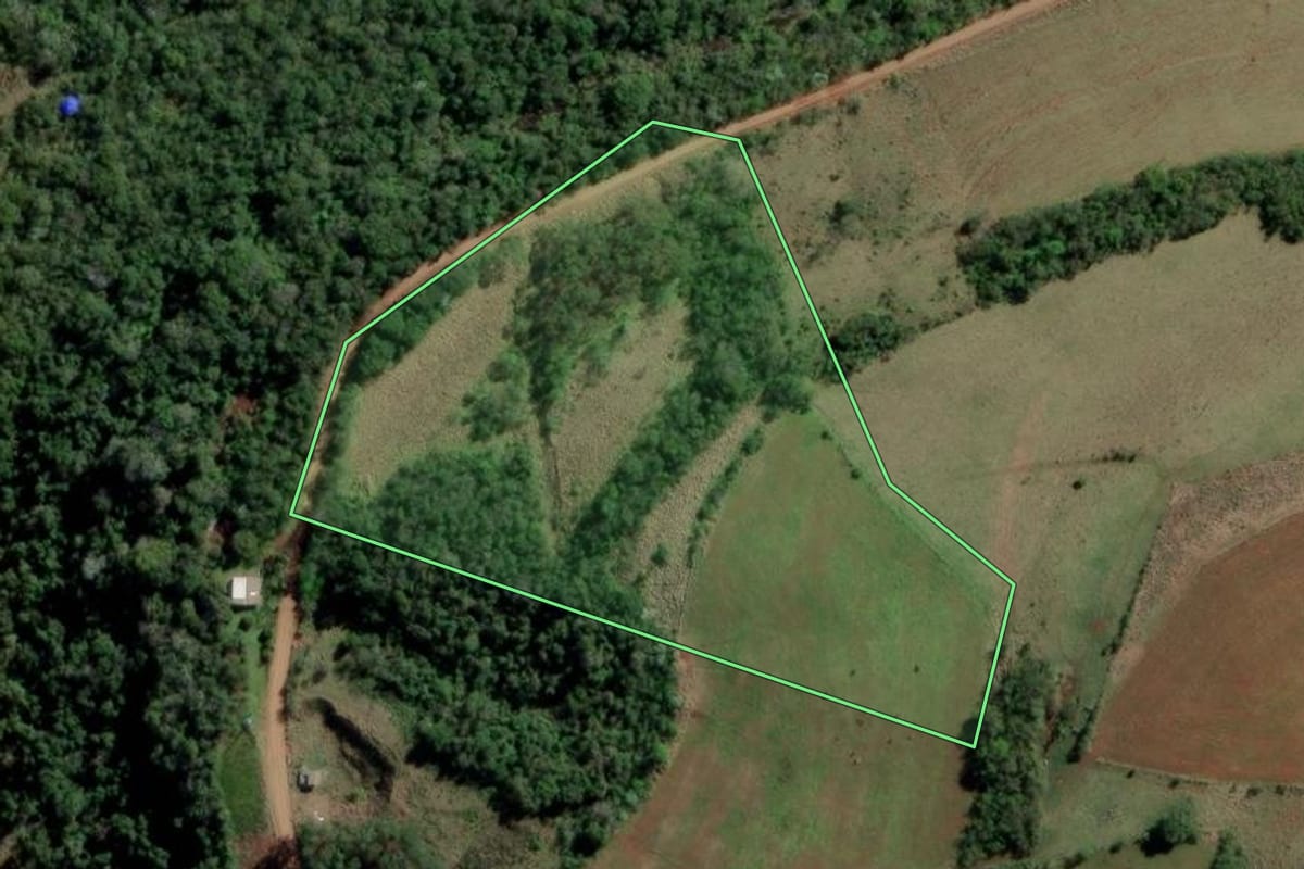 Imagem de satélite do imóvel rural em Rio dos Índios (RS), com o contorno declarado no CAR desenhado por cima.