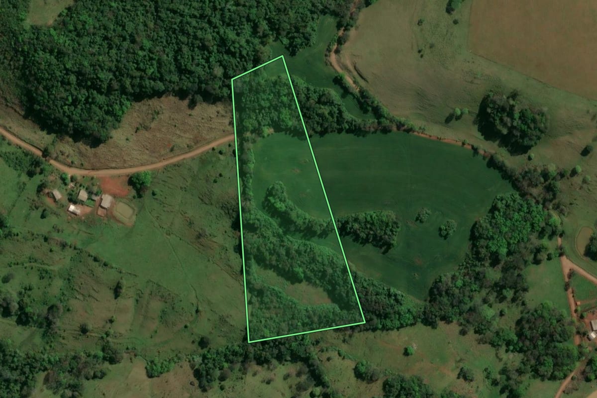 Imagem de satélite do imóvel rural em Rio dos Índios (RS), com o contorno declarado no CAR desenhado por cima.