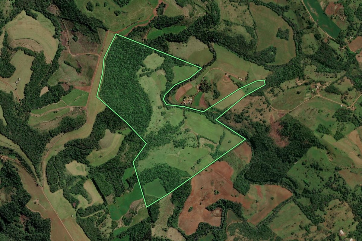 Imagem de satélite do imóvel rural em Rio dos Índios (RS), com o contorno declarado no CAR desenhado por cima.