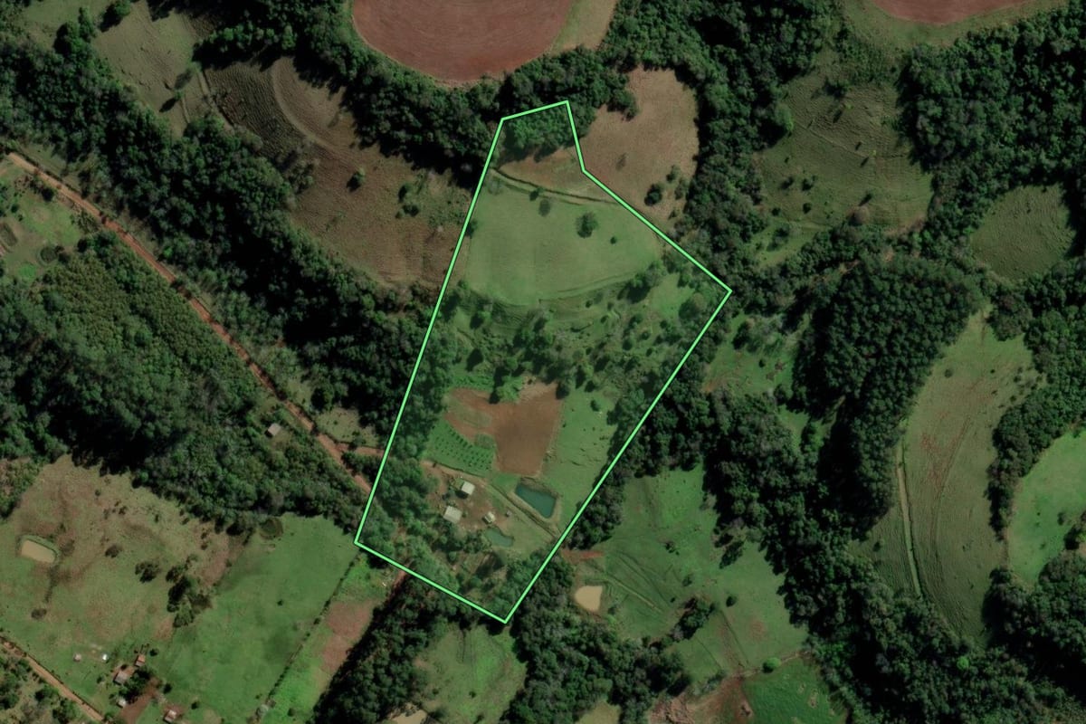 Imagem de satélite do imóvel rural em Rio dos Índios (RS), com o contorno declarado no CAR desenhado por cima.
