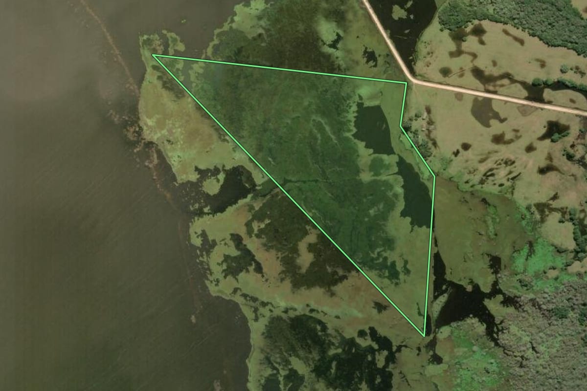 Imagem de satélite do imóvel rural em Rio Grande (RS), com o contorno declarado no CAR desenhado por cima.