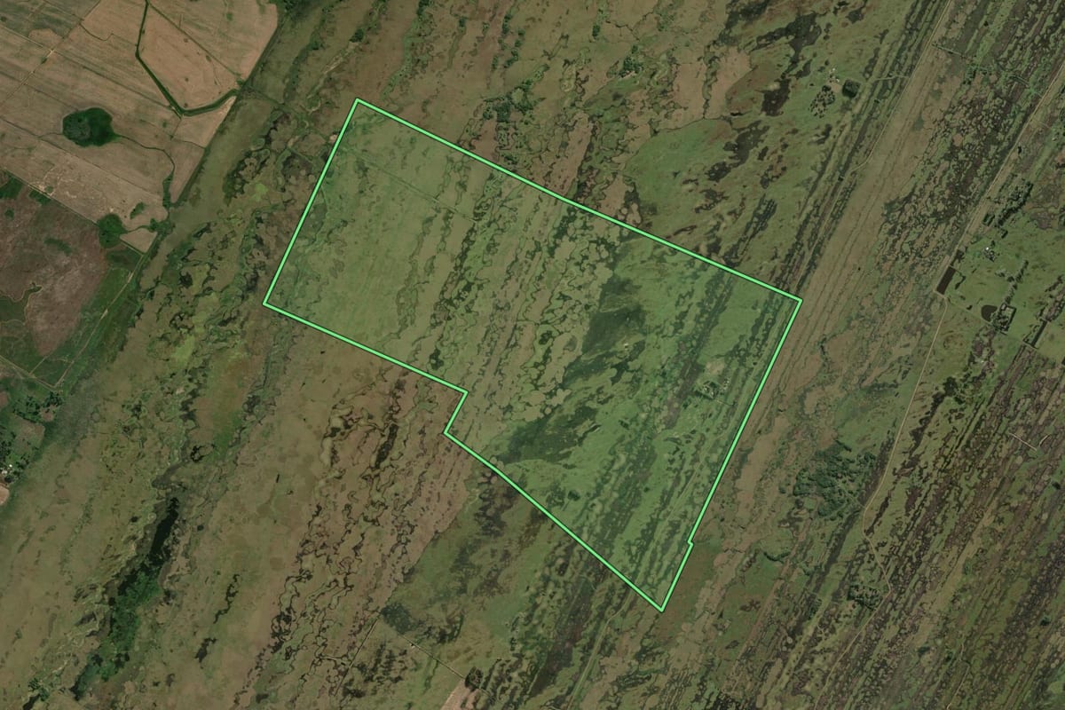 Imagem de satélite do imóvel rural em Rio Grande (RS), com o contorno declarado no CAR desenhado por cima.