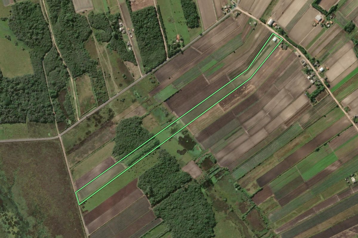 Imagem de satélite do imóvel rural em Rio Grande (RS), com o contorno declarado no CAR desenhado por cima.