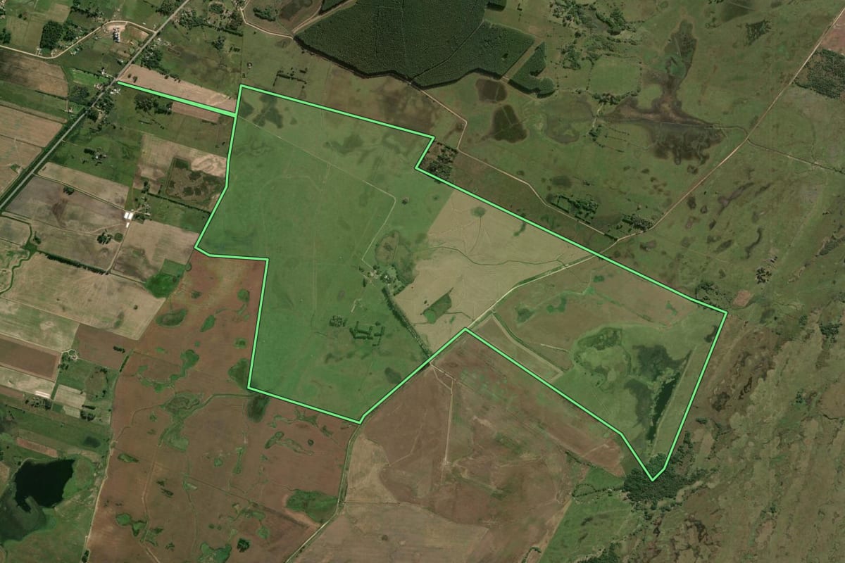 Imagem de satélite do imóvel rural em Rio Grande (RS), com o contorno declarado no CAR desenhado por cima.