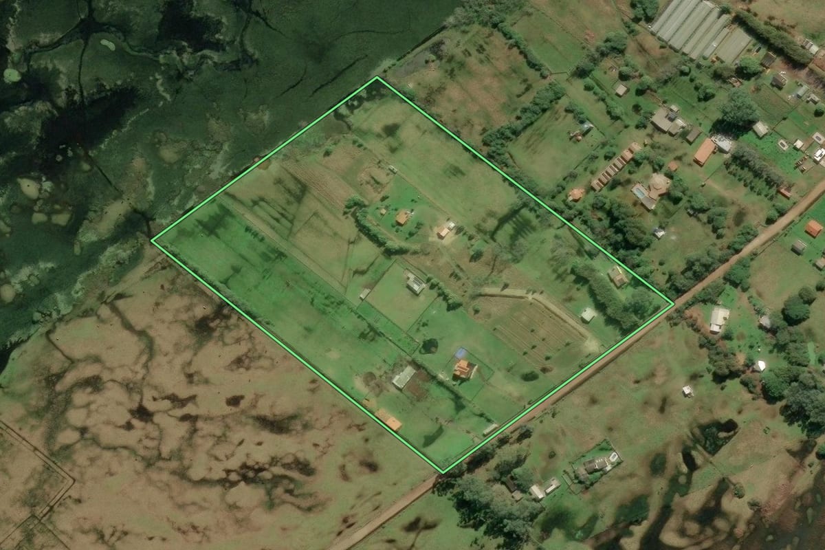 Imagem de satélite do imóvel rural em Rio Grande (RS), com o contorno declarado no CAR desenhado por cima.