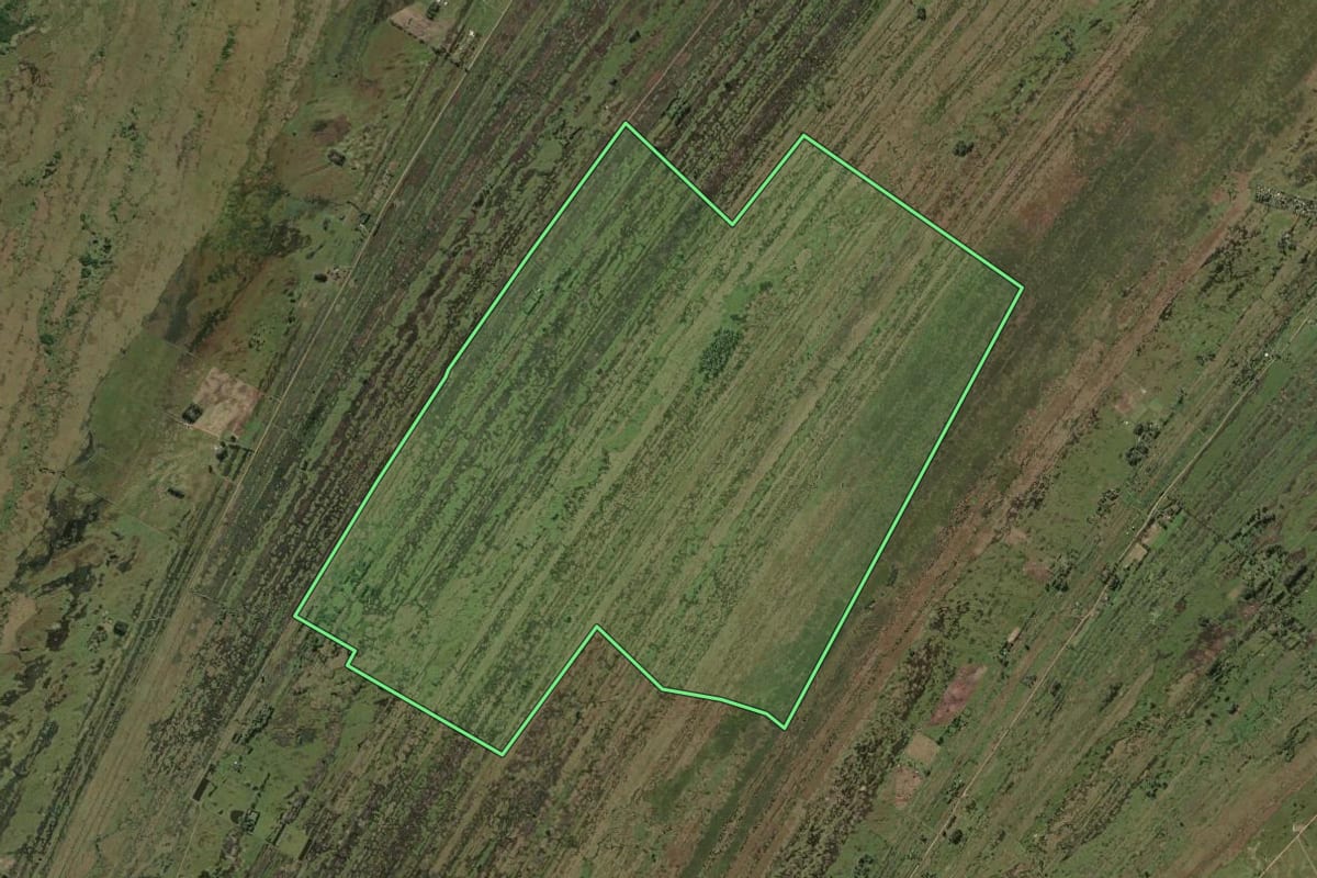 Imagem de satélite do imóvel rural em Rio Grande (RS), com o contorno declarado no CAR desenhado por cima.