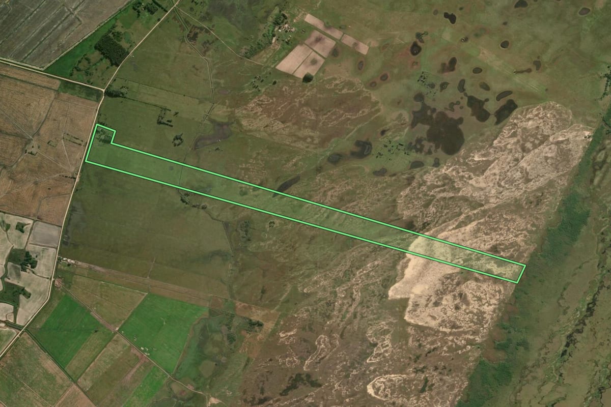 Imagem de satélite do imóvel rural em Rio Grande (RS), com o contorno declarado no CAR desenhado por cima.