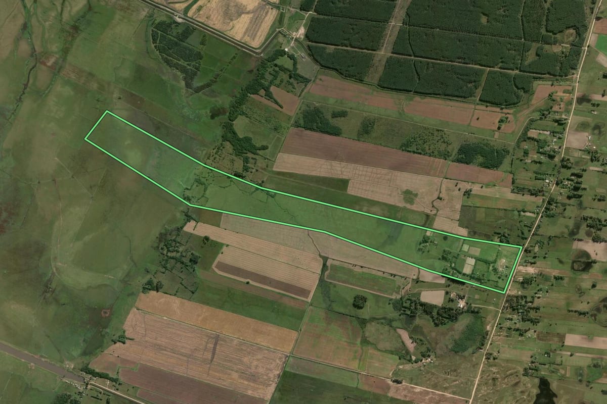 Imagem de satélite do imóvel rural em Rio Grande (RS), com o contorno declarado no CAR desenhado por cima.